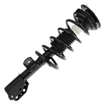 Suspension Strut and Coil Spring Assembly