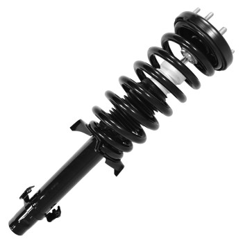 Suspension Strut and Coil Spring Assembly