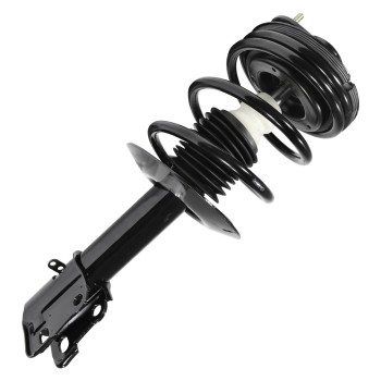 Suspension Strut and Coil Spring Assembly
