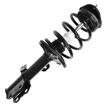 Suspension Strut and Coil Spring Assembly