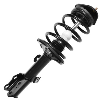 Suspension Strut and Coil Spring Assembly