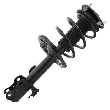 Suspension Strut and Coil Spring Assembly