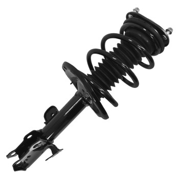 Suspension Strut and Coil Spring Assembly