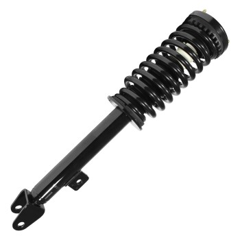 Suspension Strut and Coil Spring Assembly