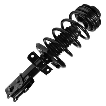 Suspension Strut and Coil Spring Assembly