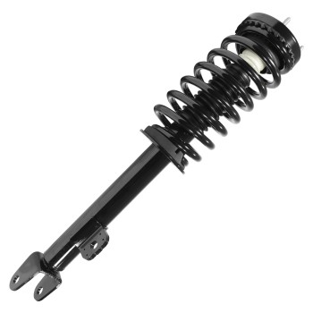 Suspension Strut and Coil Spring Assembly