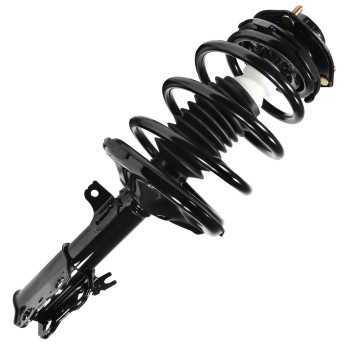 Suspension Strut and Coil Spring Assembly