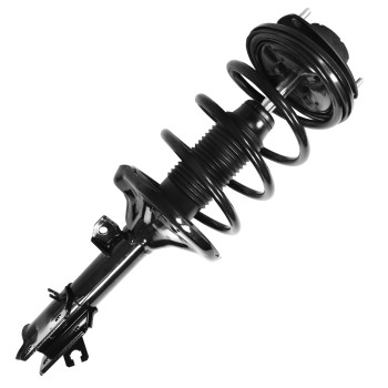 Suspension Strut and Coil Spring Assembly