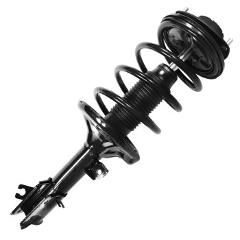 Suspension Strut and Coil Spring Assembly