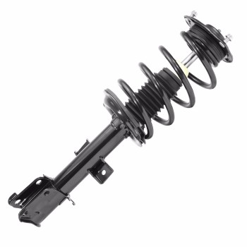 Suspension Strut and Coil Spring Assembly