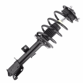Suspension Strut and Coil Spring Assembly