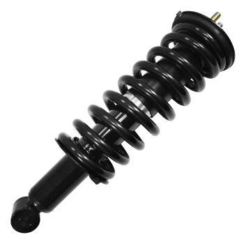 Suspension Strut and Coil Spring Assembly