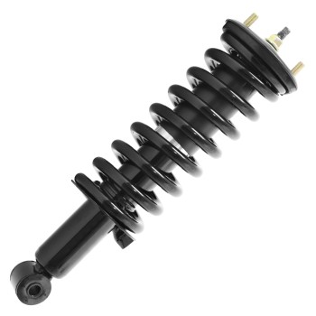 Suspension Strut and Coil Spring Assembly