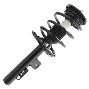 Suspension Strut and Coil Spring Assembly