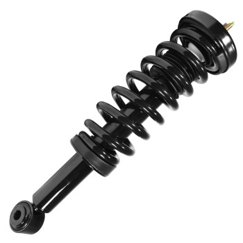 Suspension Strut and Coil Spring Assembly