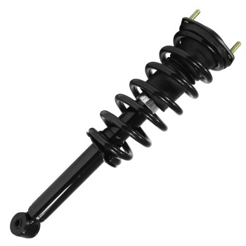 Suspension Strut and Coil Spring Assembly