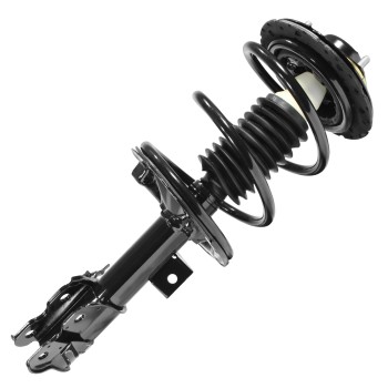 Suspension Strut and Coil Spring Assembly