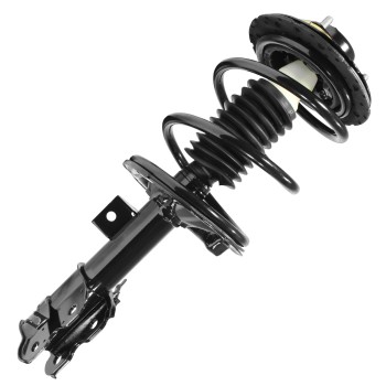 Suspension Strut and Coil Spring Assembly