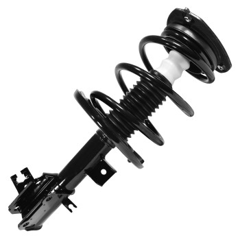 Suspension Strut and Coil Spring Assembly