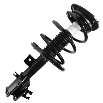 Suspension Strut and Coil Spring Assembly