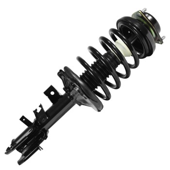 Suspension Strut and Coil Spring Assembly