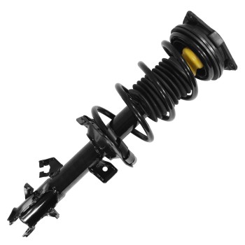 Suspension Strut and Coil Spring Assembly