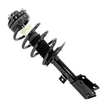 Suspension Strut and Coil Spring Assembly
