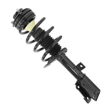 Suspension Strut and Coil Spring Assembly