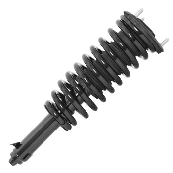 Suspension Strut and Coil Spring Assembly