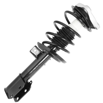 Suspension Strut and Coil Spring Assembly