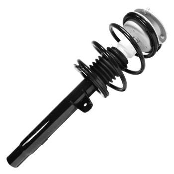 Suspension Strut and Coil Spring Assembly