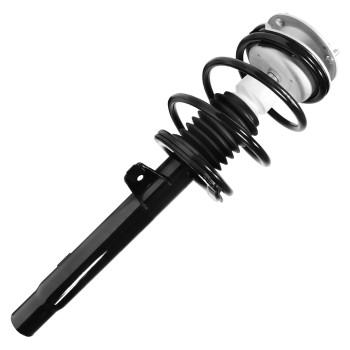 Suspension Strut and Coil Spring Assembly