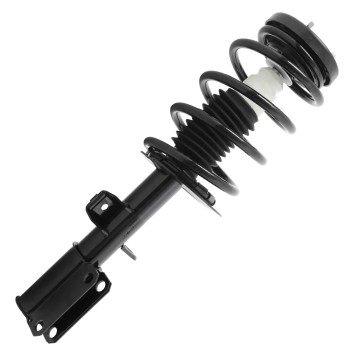 Suspension Strut and Coil Spring Assembly
