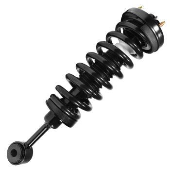Suspension Strut and Coil Spring Assembly