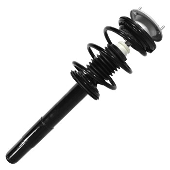 Suspension Strut and Coil Spring Assembly