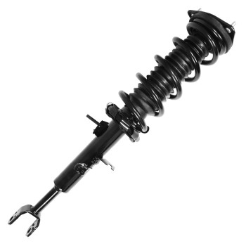 Suspension Strut and Coil Spring Assembly