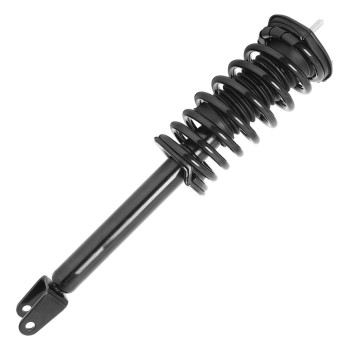 Suspension Strut and Coil Spring Assembly