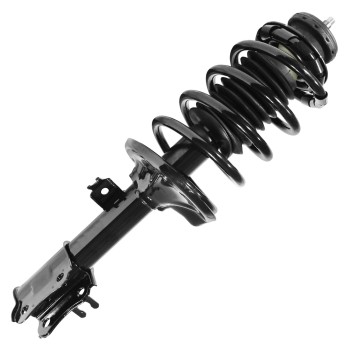 Suspension Strut and Coil Spring Assembly