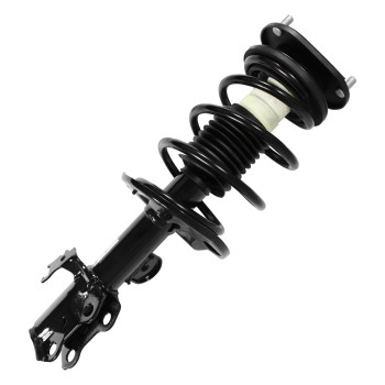 Suspension Strut and Coil Spring Assembly