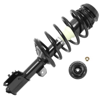 Suspension Strut and Coil Spring Assembly