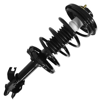 Suspension Strut and Coil Spring Assembly
