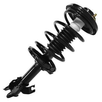 Suspension Strut and Coil Spring Assembly