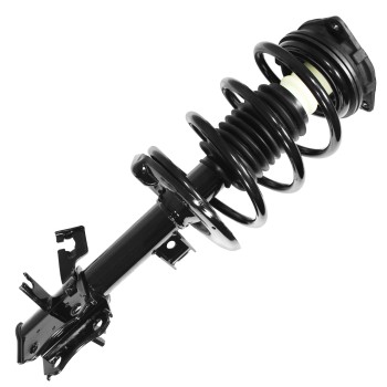 Suspension Strut and Coil Spring Assembly