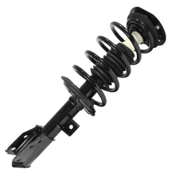 Suspension Strut and Coil Spring Assembly