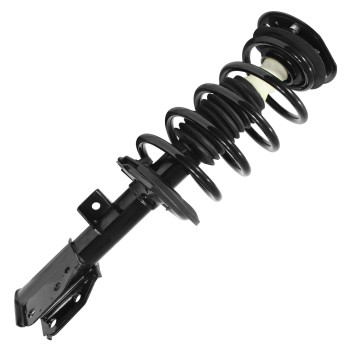 Suspension Strut and Coil Spring Assembly