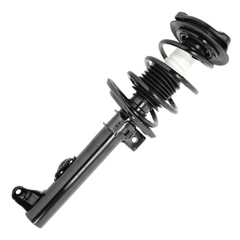 Suspension Strut and Coil Spring Assembly