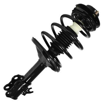 Suspension Strut and Coil Spring Assembly