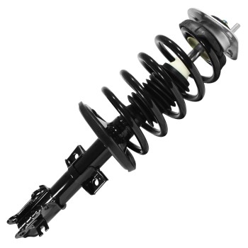 Suspension Strut and Coil Spring Assembly