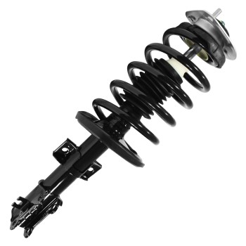 Suspension Strut and Coil Spring Assembly