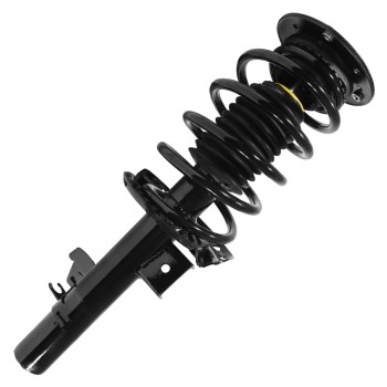 Suspension Strut and Coil Spring Assembly